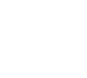 IAJ - Instituto de Apoio ao Jovem